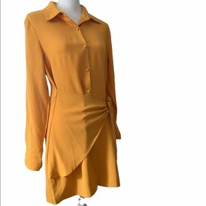 $5 NWOT. Mustard Shirtdress